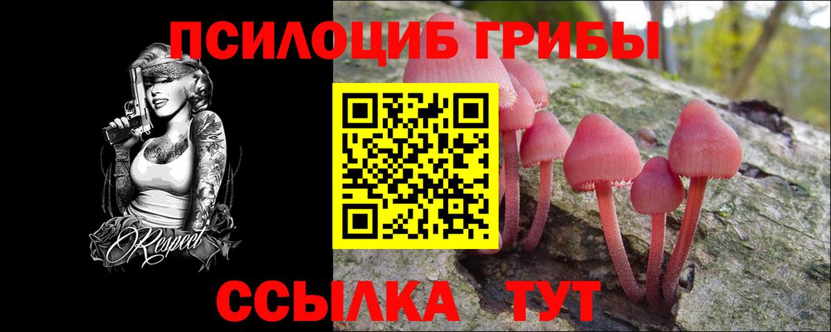 Псилоцибиновые грибы ЛСД  Псилоцибиновые грибы Cubensis  Химки  Вход с VPN 