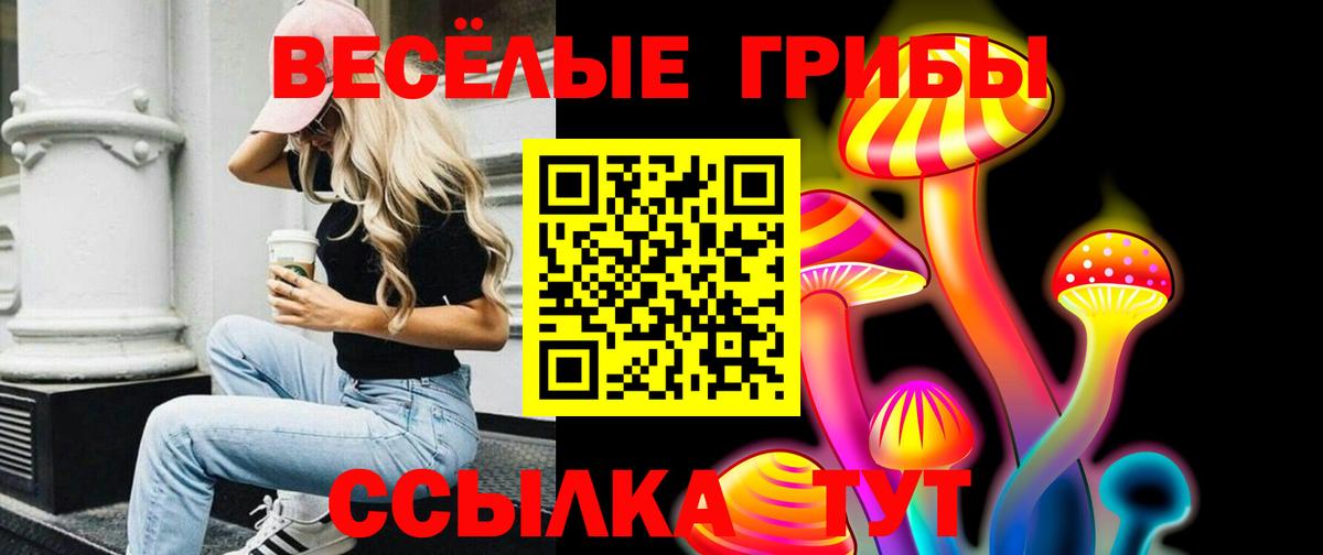 Псилоцибиновые грибы Химки